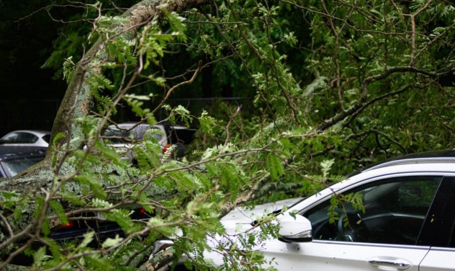 Le bonus-malus et son importance pour l’assurance auto