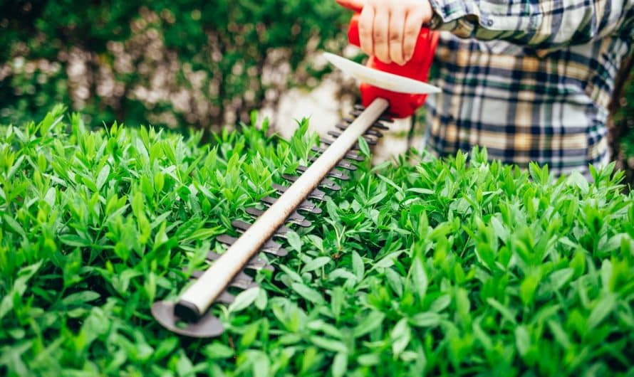 Les équipements de bricolage sans fil : révolution du confort et de la performance