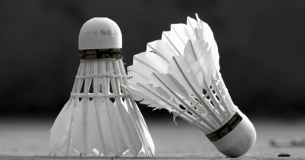 badminton 