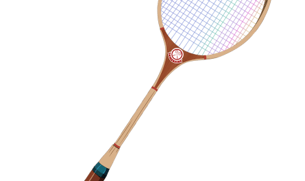 découvrez notre guide complet pour choisir la raquette de badminton idéale. comparez les matériaux, poids et styles pour optimiser votre jeu et atteindre vos objectifs sportifs.